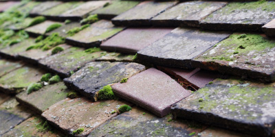 Rettendon roof repair costs